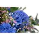 Bouquet of hydrangeas